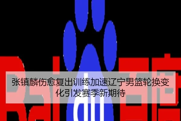 张镇麟伤愈复出训练加速辽宁男篮轮换变化引发赛季新期待