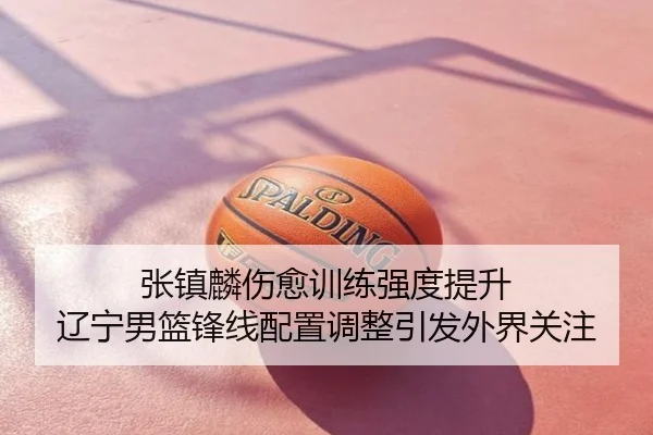 张镇麟伤愈训练强度提升 辽宁男篮锋线配置调整引发外界关注