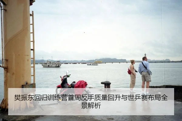 樊振东回归训练营首周反手质量回升与世乒赛布局全景解析